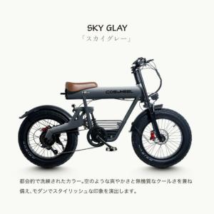 【5/15発送】コスウェル 電動アシスト自転車...の詳細画像3