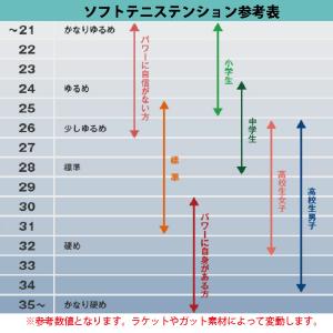 ヨネックス ソフトテニスラケット 後衛向け ボ...の詳細画像4