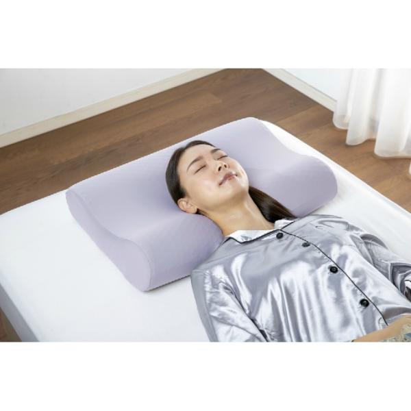 ☆フランスベッド(FranceBeD) その他美容アイテム ズカンピロー 360521000 【ご自...