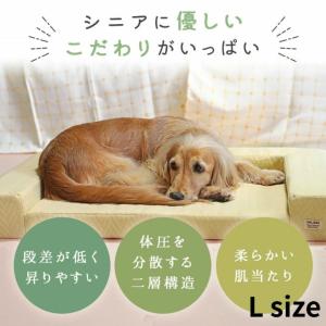 ☆アイドッグアイキャット IDOG＆ICAT ペット用品 アンエイジ 体圧分散シニアローベッド RMC-BD247 【返品不可】【ご自宅配送限定】‥