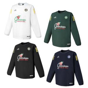 プーマ サッカーウェア ピステトップ ジュニア Q1 indivF 1/4ジップ