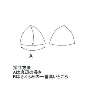 ビジョンクエスト(VISION QUEST) ...の詳細画像2