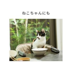シンセーインターナショナル チェア MOGUチ...の詳細画像5