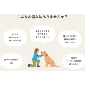 ワンエイド(OneAid) 犬用 リラクッショ...の詳細画像4