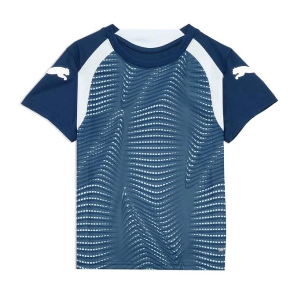 プーマ(PUMA) サッカーウェア 半袖シャツ ジュニア サッカー INDIVIFINAL 半袖 シ...