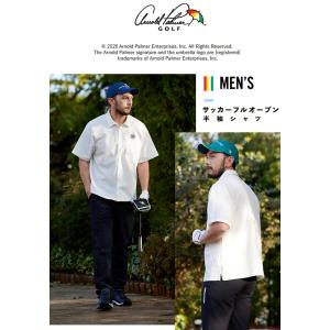 アーノルドパーマー arnold palmer...の詳細画像4
