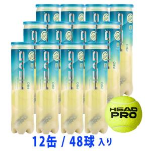 Tecnifibre（テクニファイバー） COURT コート 4球入り 60COJP4X15