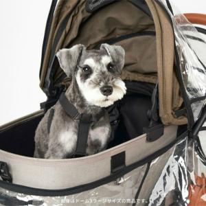 【レインカバー付き】エアバギー(AIRBUGG...の詳細画像1