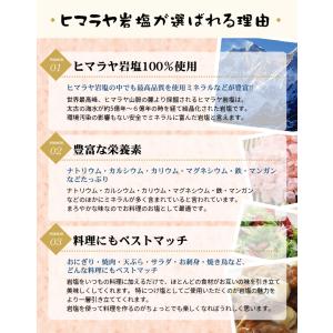 岩塩 ヒマラヤ岩塩 食用レッド岩塩標準タイプ ...の詳細画像4