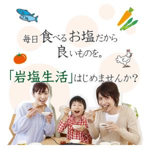 岩塩 ヒマラヤ岩塩 選べる食用岩塩お試しセット 送料無料 ポスト投函｜himarayaganen｜04