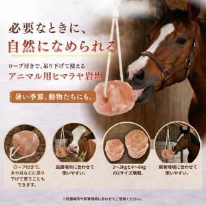 動物用ヒマラヤ岩塩(馬・牛・羊・家畜全般)約2...の詳細画像1