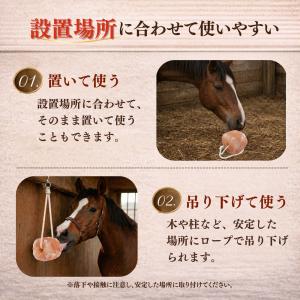 動物用ヒマラヤ岩塩(馬・牛・羊・家畜全般)約2...の詳細画像2
