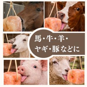 動物用ヒマラヤ岩塩(馬・牛・羊・家畜全般)約2...の詳細画像4