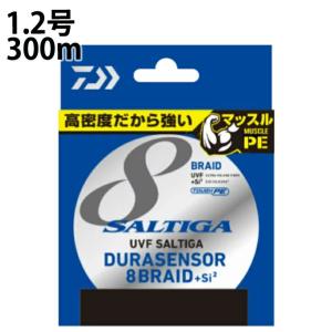 2026年3月】peライン 3号 500m（DAIWA（釣り）／釣り糸、ライン）の