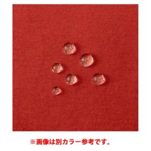 ノースフェイス マウンテンパーカー レディース...の詳細画像4
