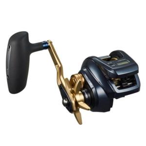 DAIWA(釣り) ダイワ 21 ソルティガ IC 300 (右ハンドル) 2021 DAIWA(釣り) ダイワ 21 ソルティガ IC 300 (右ハンドル) 2021
