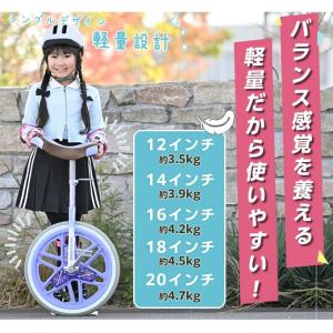ブリヂストン 一輪車 スケアクロウ プレゼント クリスマス 誕生日