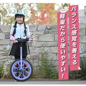 一輪車 16インチ 18インチ 便利なスタンド...の詳細画像3