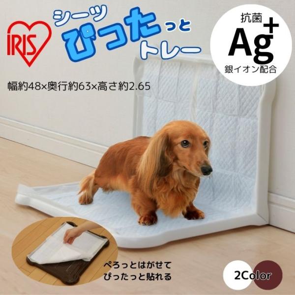 アイリスオーヤマ IRIS OHYAMA トレー  シーツぴたっとトレー ワイド P-SPTW【ご自...