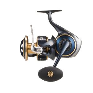DAIWA（ダイワ） スピニングリール 25 CALDIA(カルディア) LT3000S-CXH