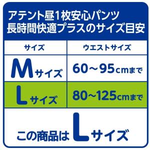 大人用紙おむつ 大王製紙 アテント 昼1枚安心...の詳細画像4
