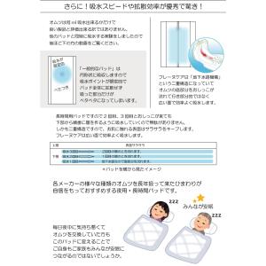 白十字 P.Uサルバ フレーヌケア ナイトロン...の詳細画像1