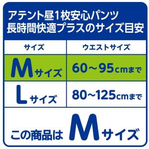 大人用紙おむつ アテント 昼1枚安心パンツ長時...の詳細画像2