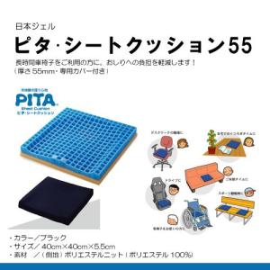 ファンディーナ(旧 日本ジェル) ピタ・シートクッション55（カバー付：通気タイプ）