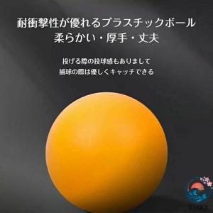 ピンポンキャッチャー ビーチ投げゲーム 投げゲ...の詳細画像3