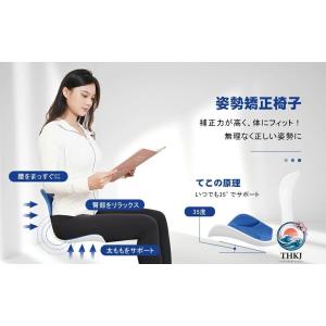 姿勢矯正 椅子 座るだけ腰が痛くならないクッシ...の詳細画像1