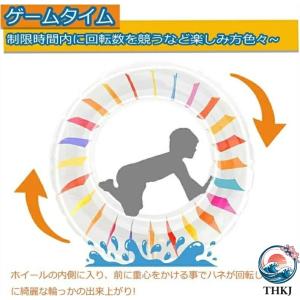 ウォーターホイール 外径120cm フロート ...の詳細画像3