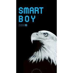 「オカモト」 スマートボーイ 12個入 (管理医療機器)「衛生用品」