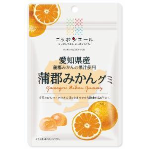 「セット販売」「全国農協食品」　愛知県産蒲郡みかんグミ　40ｇ×10個セット　