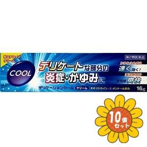 【第2類医薬品】「セット販売」「ジャパンメディック」デリケーションクール　16g　10個セット｜ひまわりの薬屋