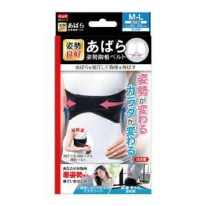 「中山式産業」　中山式　あばら姿勢胸椎ベルト　M-L　