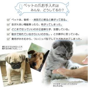 difang正規品 すやすや眠る 犬 爪切り ...の詳細画像4