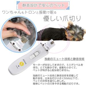 difang正規品 すやすや眠る 犬 爪切り ...の詳細画像5