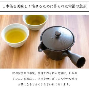 常滑焼 茶葉 広がる 急須 洗いやすい 3名 ...の詳細画像1