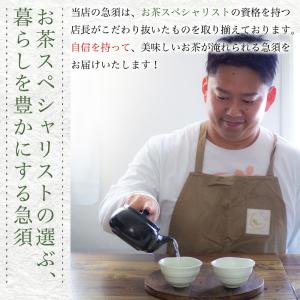 常滑焼 茶葉 広がる 急須 洗いやすい 3名 ...の詳細画像5