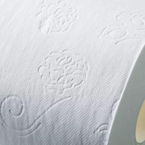 コストコ トイレットペーパー 60ロール 30...の詳細画像3