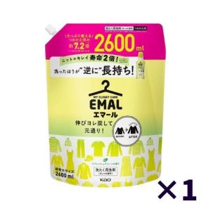 エマール 洗濯洗剤 大容量 おしゃれ着用 2600ml　リフレッシュグリーンの香り洗濯 洗剤 中性 中性洗剤 詰め替え 洗たく用洗剤 えまーる 花王 業務用