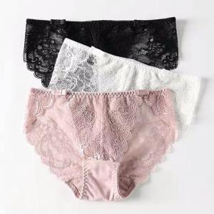ショーツレディース パンツ 総レーススタンダー...の詳細画像2