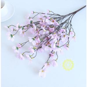 カラー 花 値段の商品一覧 通販 Yahoo ショッピング