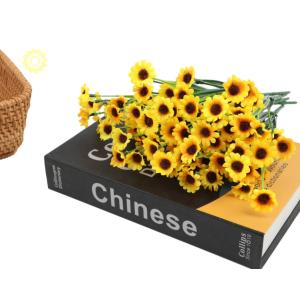 カラー 花 値段の商品一覧 通販 Yahoo ショッピング