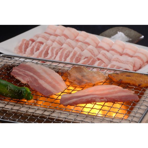 山形県食肉公社認定 山形豚セット（計800g） ご当地グルメ 美味しい 人気