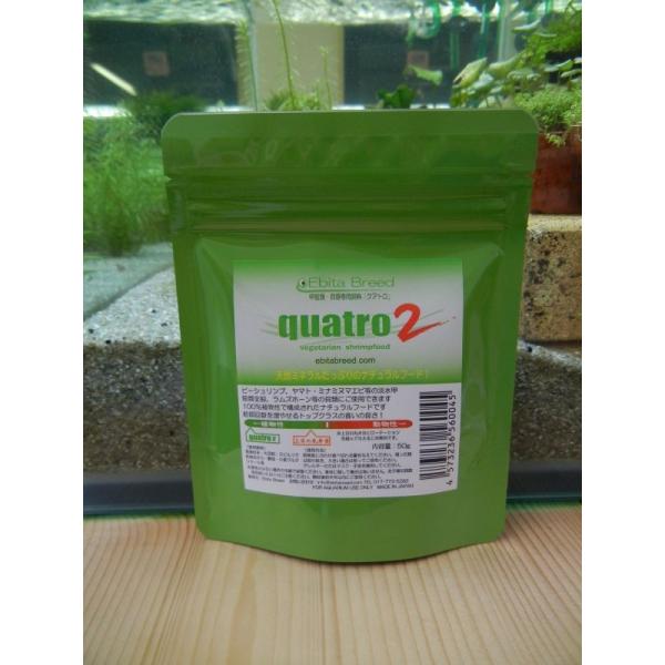 ｑｕａｔｒｏ２　クアトロ２　５０ｇ（Ｅｂｉｔａ　Ｂｒｅｅｄ）