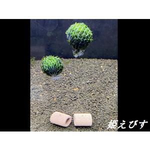 沖縄県産無農薬 マジックリーフ（1袋：5枚入り） : 姫えびすヤフー店