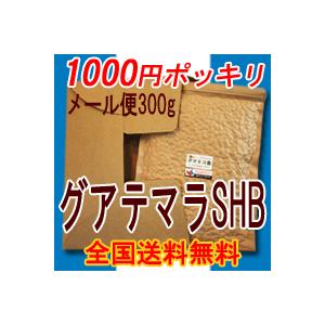 新しくなったチャック付き大袋には　グアテマラSHB 300gが入っています！　【代金引換不可】【日時指定不可】　【送料無料】｜himejicoffee