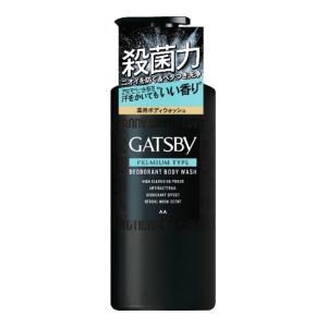GATSBY（ギャツビー） パーフェクトボディウォッシュ 380ml 本体
