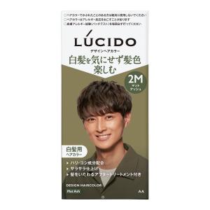 LUCIDO(ルシード) デザインヘアカラー モダンブラウン 白髪染め メンズ